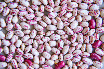 Harvested pinto beans AKA cranberry beans or kidney beans
