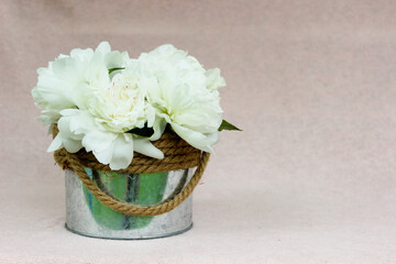 Beautiful bouquet of light milky peonies in rounded metal box isolated on pink background with free copyspace for text,image for greeting holiday card,wallpaper,calendar,poster,spring floral postcard