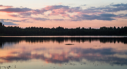 Swamp on a sunny day in great colors