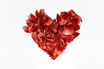Close-up of flower petals in shape of heart, lush lava of color, isolated on white background.