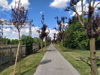 Street walking path in Poggio Renatico