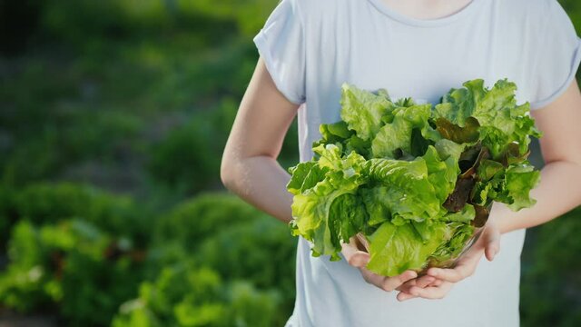 The child holds lettuce, stands against the background of the house bed