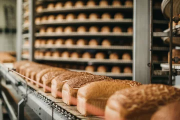 Fotobehang Bakkerij Broodjes in een bakkerij op een geautomatiseerde transportband