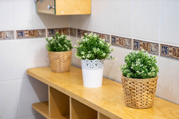 Decorative green flowers on the wooden shelf. Modern interior of bathroom. Light tile.