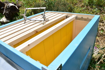 ARNIA ricovero artificiale dove vivono le api,  contenitore in legno di abete,  all’interno del...