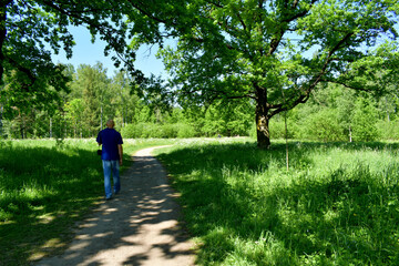 Obraz premium walking in the park