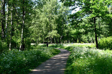 path in the park