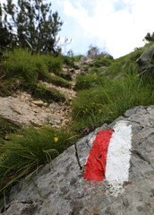white and red sign in the mountain path