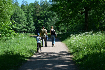 Obraz premium walk in the park
