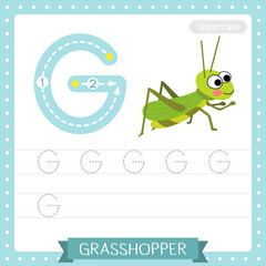 Letter G uppercase tracing practice worksheet. Happy Grasshopper