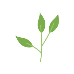 tree leaves icon, flat style