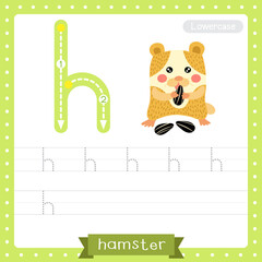 Letter H lowercase tracing practice worksheet. Hamster eating sunflower seeds