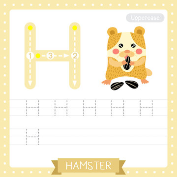 Letter H uppercase tracing practice worksheet. Hamster eating sunflower seeds