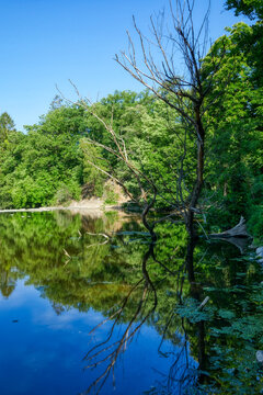 Flusslandschaft mit B&auml;umen bei Schladern