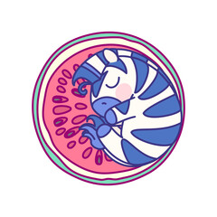 vector flat striped baby zebra on watermelon