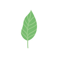 tropical leaf icon, flat style