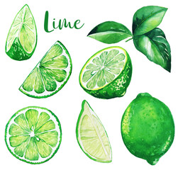 Fresh green limes and leaves, watercolor fruit