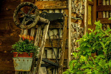 Mit Analogen Objektiv Wald Blume Wiese Feld Nebel