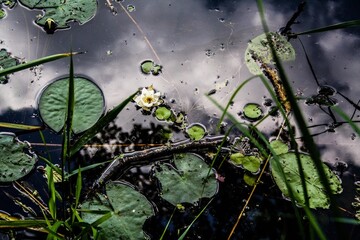 graffiti on the wall