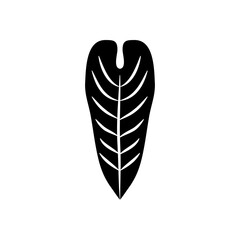 elephant ear leaf icon, silhouette style