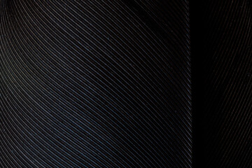 Black macro feather,Black raven feathers ,Serbia, Feather, Macrophotography, Black Color, Gray...
