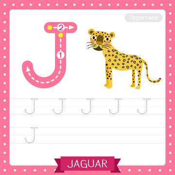 Letter J uppercase tracing practice worksheet of Jaguar