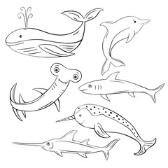 Sea life set. Hand drawn , blowfish,  hammerhead shark, whale, shark, manta ray, dolphin, narwhal. Vector doodle illustration collection. - 358104310