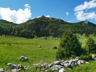 Fototapeta na wymiar Veliki Lubenovac is one of the most beautiful localities in the Northern Velebit National Park. It is a karst valley located at the edge of the strict nature reserve Hajdučki and Rožanski Kukovi.