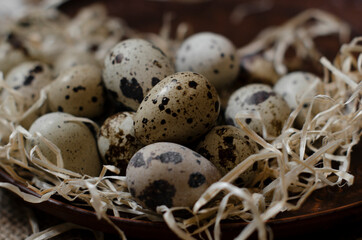 quail eggs on a clay plate