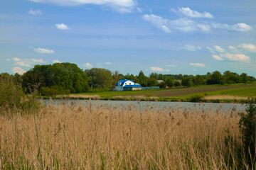 country side rural cottage nature landscape summer time scenic view field on forest edge in clear weather day