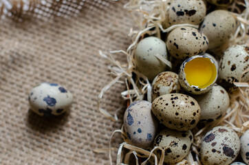 Obraz premium broken quail egg on a wooden board