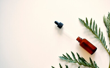 Alternative medicine. Leaves of medicinal herbs, a bottle on a white background.