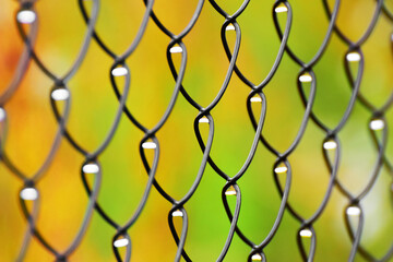 Naklejka premium Metal fence pattern with rain drops in curls