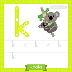 Letter K lowercase tracing practice worksheet of Koala bear and baby koala