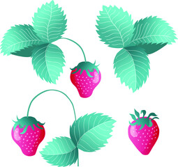 set of ripe wild strawberries isolated hand drawn vector illustration