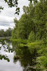 lake in the forest
for Instagram, social networks, nature blogs, nature publications, newspaper, blog about ecology, interesting, different