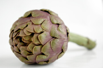Obraz premium a single round artichoke typical of the area of southern Italy near the temples of Paestum in the province of Salerno in the Campania region isolated on white background