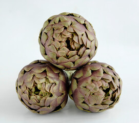 Obraz premium round artichoke Paestum in the province of Salerno in the Campania region isolated on white background frontal view