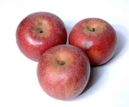 mela annurca is an apple from the Campania region isolated on white background