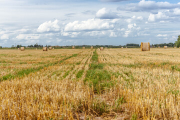 Latvian countryside scenery of hay rolls on a harvested crop field.