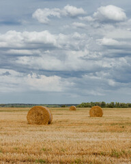 Three hay rolls on a harvested crop field in Latvia