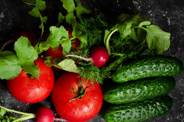 Fresh vegetables on the table. cucumbers, radishes, tomatoes