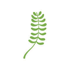 ash tropical leaf icon, flat style