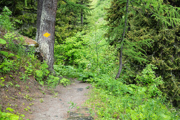 Wanderweg am Nufenenpass, ob Ulrichen, Goms, Kt. Wallis, Schweiz