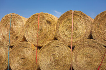 Farmer loads some hay bales on his tractor