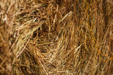 Farmer loads some hay bales on his tractor