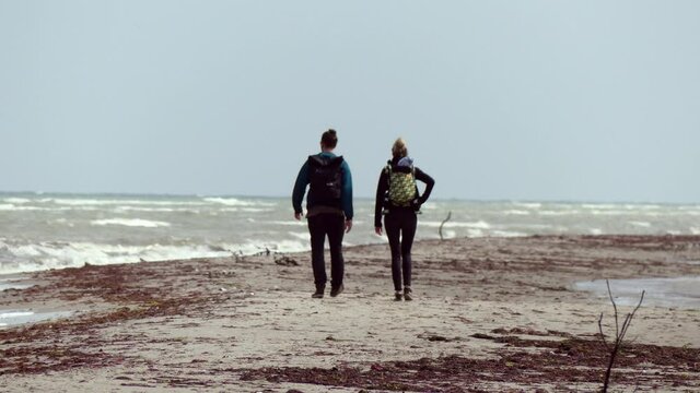 Baltic Sea. Storm. Windy. Park.