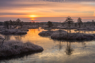Fototapeta na wymiar the first frosts in Kemeri bog lakes