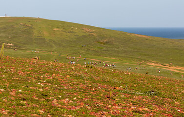 Morro do Serrote caminho para a Pedra Furada em Jericoacoara.