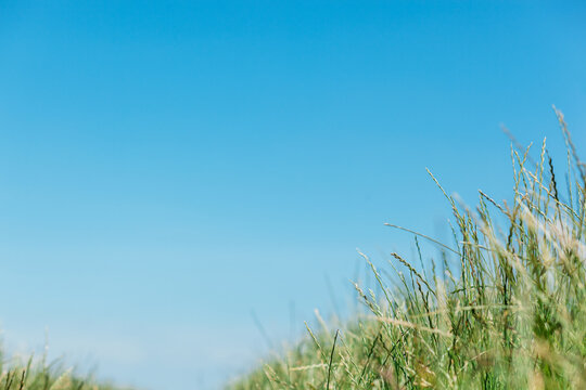 Green grass and bright blue sky with copy space, minimalistic © Marina P.
